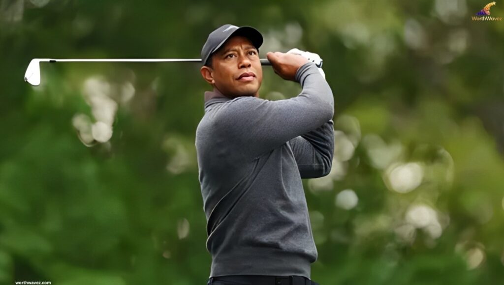 Tiger Woods' PGA Tour Career Earnings